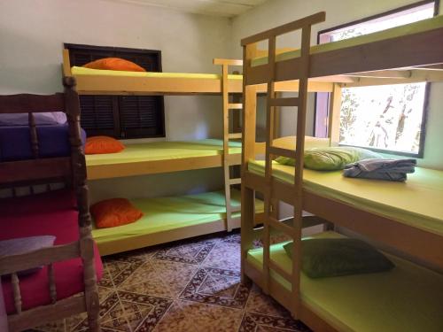 Live Hostel emeletes ágyai egy szobában
