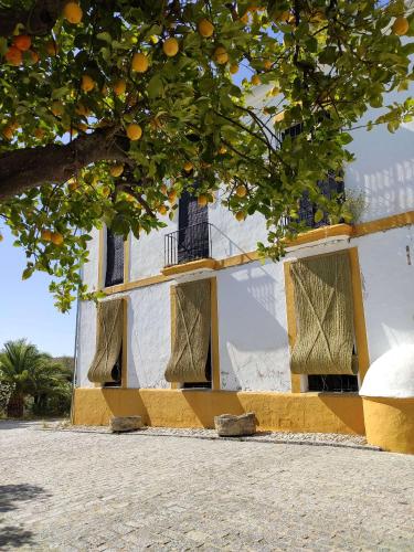 FINCA LAS ROSAS DE SANTA ANA, Villamartín – Bijgewerkte ...