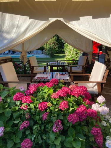 a bunch of flowers in front of a tent at Hotel Milano Pool & Garden in Salice Terme