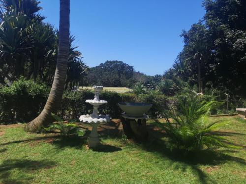 a fountain in the middle of a yard with palm trees at The Tree Of Idleness Guesthouse in Trafalgar