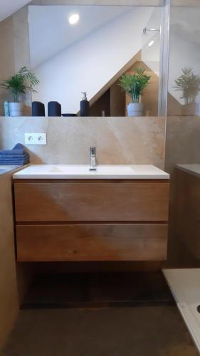 ヒンターゼーにあるFerienhaus Gerlachの洗面台と鏡のあるバスルーム