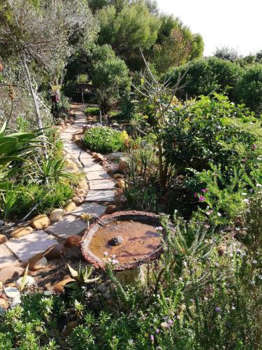 a garden with a stone path and plants at Whispering Gardens in Stilbaai