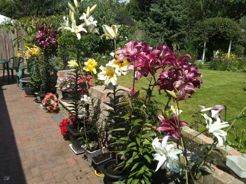 Gallery image of Cherry Garden B&B in Folkestone