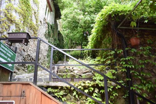 a set of stairs next to a building with ivy at Penzión Príjemný Oddych in Banská Štiavnica