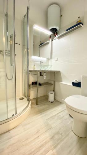 a bathroom with a shower and a toilet and a sink at La Parenthèse in Le Crotoy