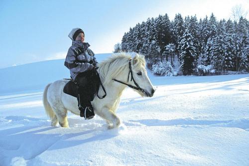 Chalets Ebner, Eben im Pongau – Photos 2