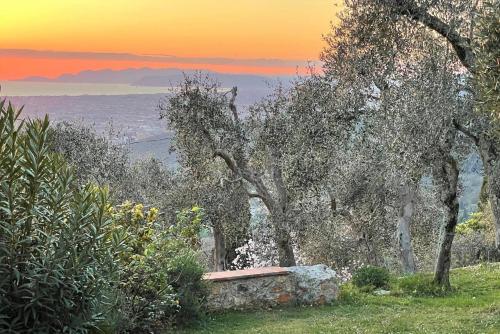Holiday home, Monteggiori – Photos 3