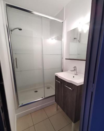 a bathroom with a shower and a sink at Domaine de la Ferme de Jean Grogne in Fontenay-Trésigny