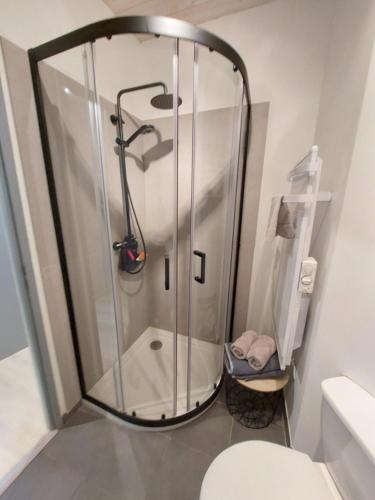 eine Duschkabine im Bad mit WC in der Unterkunft appartement indépendant chalet "les Ormes" in Enchastrayes