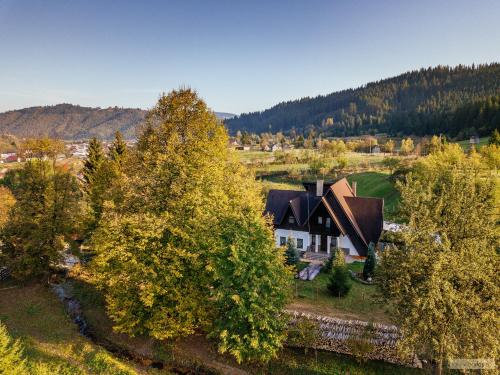 an aerial view of a house with a tree at Floarea Bucovinei in Vama