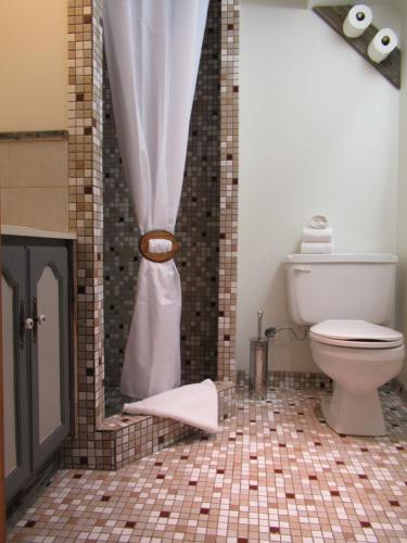 a bathroom with a toilet and a shower curtain at Bear Rock Inn in Jasper