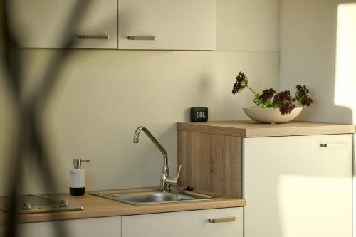 a kitchen with a sink and a bowl of flowers on a counter at Charmantes Apartment im Grünen in Bregenz