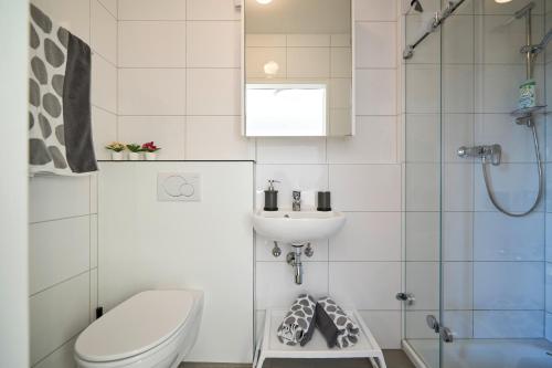 un bagno con wc, lavandino e doccia di Charmantes Apartment im Grünen - KLIMATISIERT a Bregenz