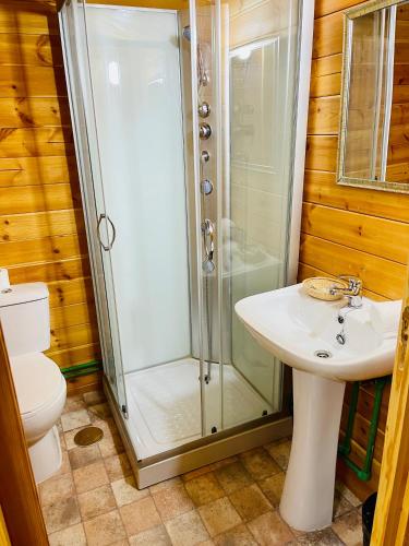 a bathroom with a shower and a sink and a toilet at El Bosque de Ribera in Escalona