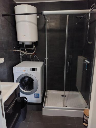 a shower stall in a bathroom with a washing machine at Appartement Ter Zee in De Panne