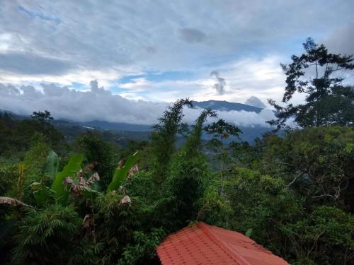 a view of the mountains from a house in the forest at Hotel Green Mountain turrialba in Turrialba