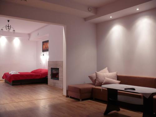 ルブリンにあるApartamenty Pokoje DreamZoneのリビングルーム(ソファ、ベッド付)