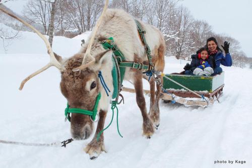 a reindeer pulling a man and child in a sleigh at Kasara Niseko Village Townhouse in Niseko
