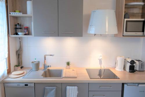W kuchni znajduje się umywalka i kuchenka mikrofalowa. w obiekcie CABANA & Voie Verte - Parking, Terrasse, Lac w mieście Saint-Jorioz