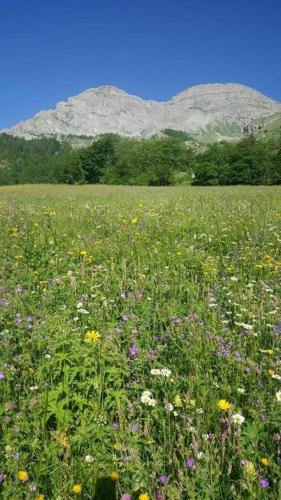 Φυσικό τοπίο κοντά σε αυτό το διαμέρισμα