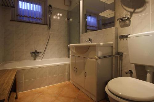 a bathroom with a toilet and a shower and a sink at Apartment, Braunlage in Braunlage