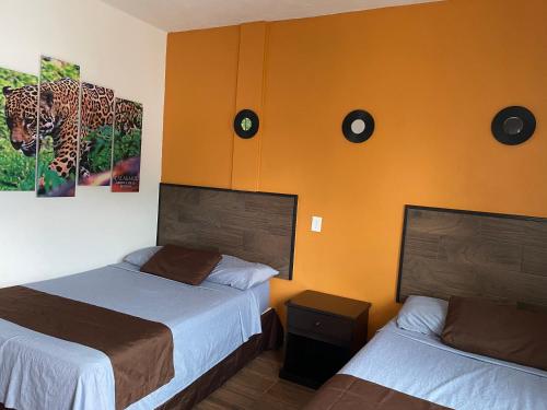Hotel Xpujil – Photos 4