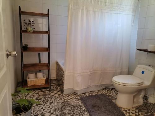 a bathroom with a toilet and a shower curtain at Acogedora cabaña en el bosque, acceso solo vehiculos 4x4 in Cochamó
