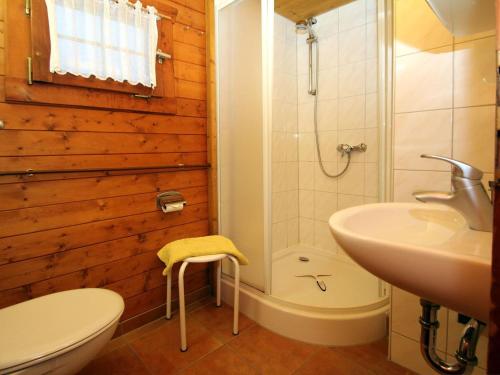 a bathroom with a shower and a sink and a toilet at Blockhouse Spreewald, Alt Zauche in Alt Zauche