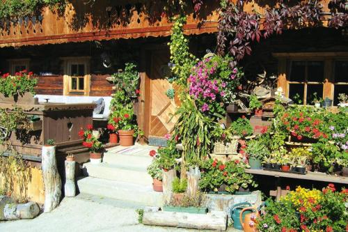 a bunch of potted plants in front of a building at Apartment in Wildschönau by Schatzberg Lift in Auffach