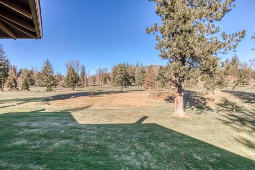 Golfer's Daydream – Photos 3