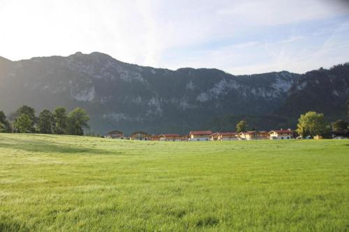 a green field with houses and mountains in the background at Chalet Gamsknogel mit privatem Pool und Whirlpool in Inzell