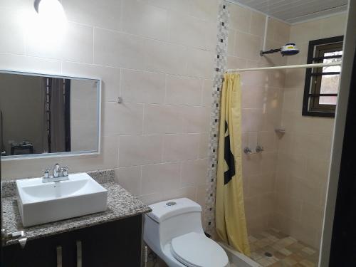 Alto Boquete的住宿－Tu casa Menus de Boquete te espera，浴室配有卫生间、盥洗盆和淋浴。