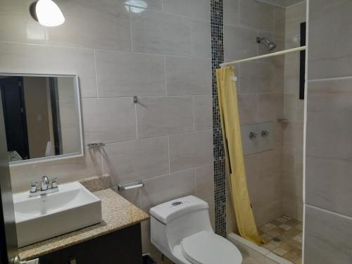 a bathroom with a toilet and a sink and a shower at Tu casa Menus de Boquete te espera in Alto Boquete