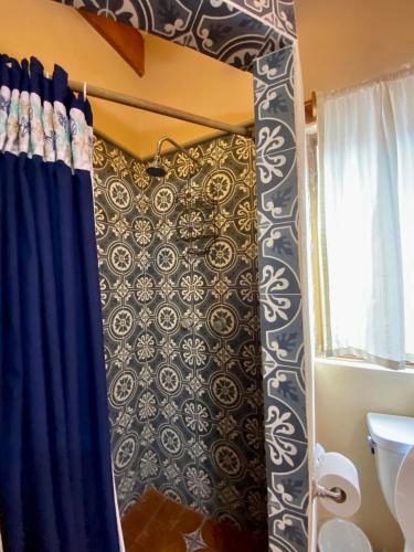 a bathroom with a shower curtain and a toilet at Hotel Casa María Félix in Álamos