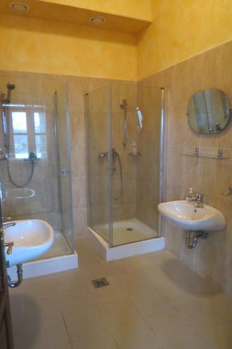 a bathroom with a shower and a sink at Sarlóspuszta Club Hotel in Tatárszentgyörgy