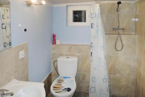 a bathroom with a toilet and a shower and a sink at holiday home, Kolczewo in Kołczewo