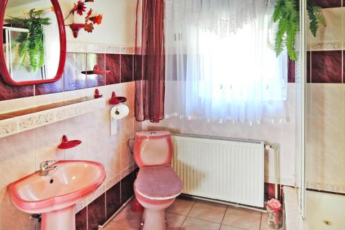 a bathroom with a pink toilet and a sink at holiday home, Kolczewo in Kołczewo