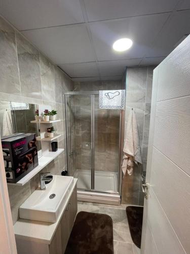 a bathroom with a shower and a sink at King Suite BH37 in Istanbul