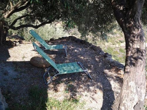 two lawn chairs sitting under a tree in the shade at Villa Vista Mare a Filicudi in Filicudi