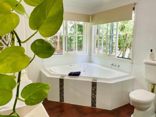 a bathroom with a tub and a plant at Curtis Falls Cottage, Tamborine Mountain in Mount Tamborine