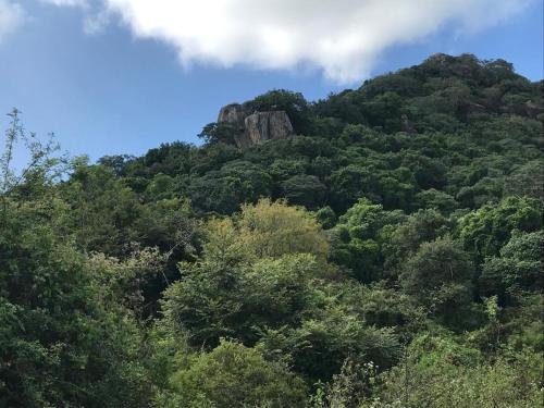 Φυσικό τοπίο κοντά σε οργανωμένο κάμπινγκ