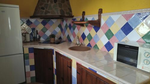 a kitchen with a counter with a sink and a microwave at Alojamientos Rurales Los Molinos in Fuentes de León