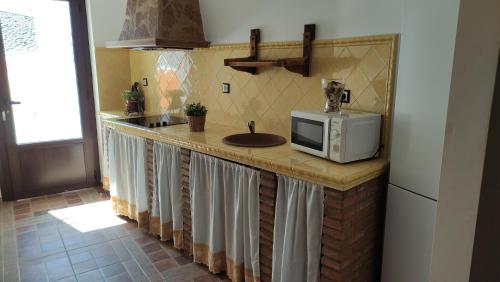 a kitchen counter with a microwave and a sink at Alojamientos Rurales Los Molinos in Fuentes de León