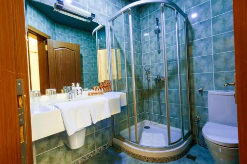a bathroom with a shower and a sink and a toilet at RIVER INN RESORT AND SPA in Nabran