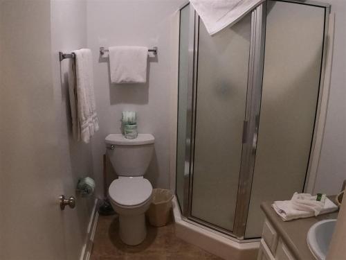 a bathroom with a shower and a toilet and a sink at Rr-edgewater08 in June Lake