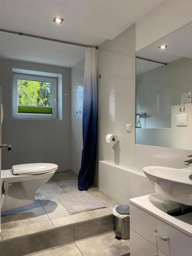 a bathroom with a toilet and a sink and a mirror at Zimmervermietung Berlin-Spandau in Berlin