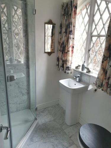 a bathroom with a shower and a sink and a window at The Coach House Apartment at Cefn Tilla Court, Usk in Usk