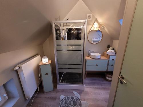 ein Bad mit einer Dusche und einem Waschbecken im Dachgeschoss in der Unterkunft Natuurschoon Vakantiewoning Moorsel in Moorsel