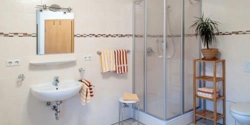 een badkamer met een douche en een wastafel bij Gasthof Sauerteig in Rödental