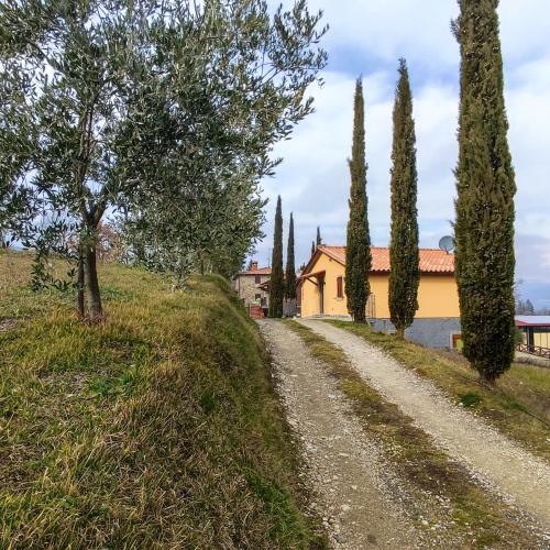 uma estrada de terra em frente a uma casa com árvores em 2 bedrooms house with shared pool garden and wifi at Caprese Michelangelo em Arezzo